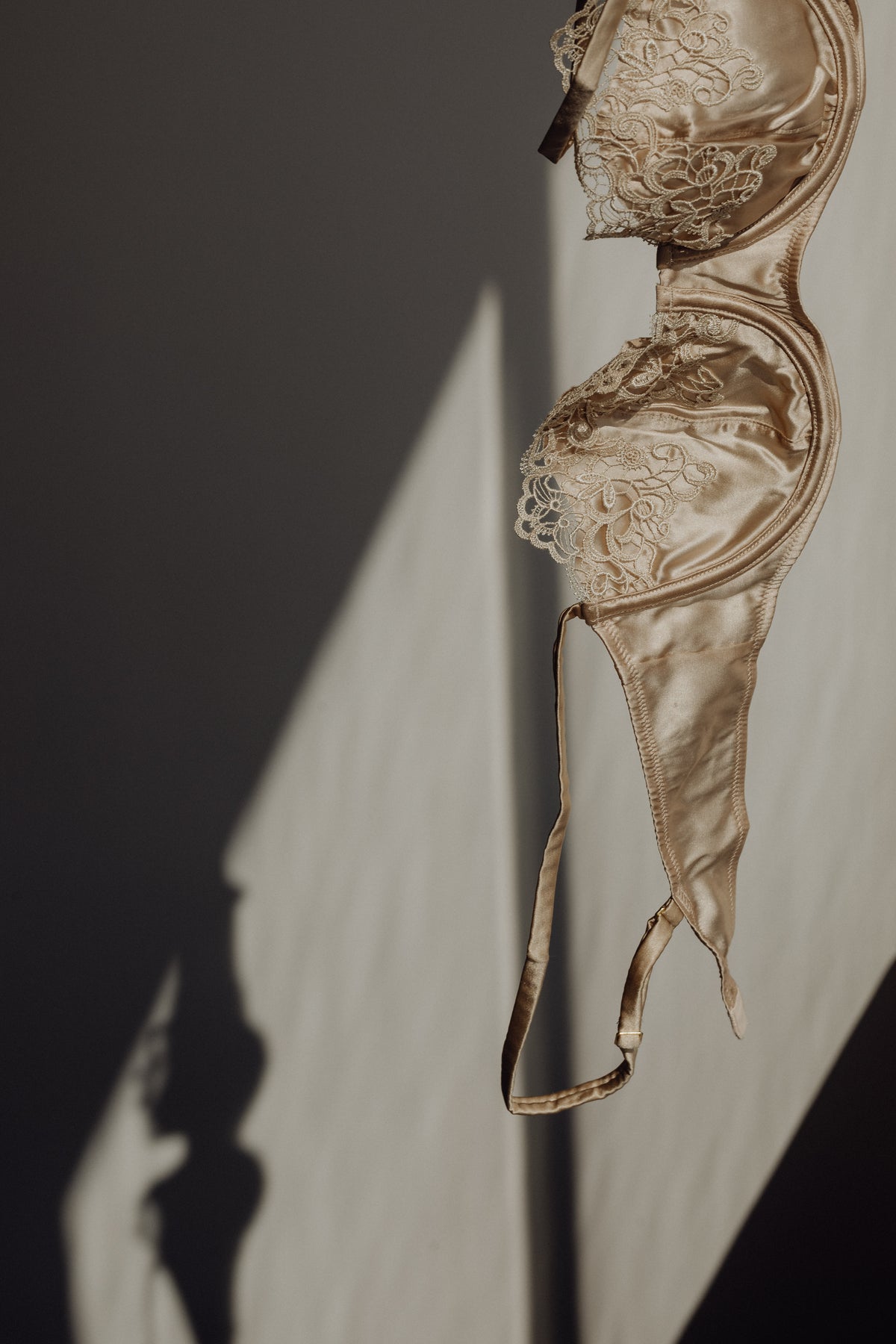 Collection Image